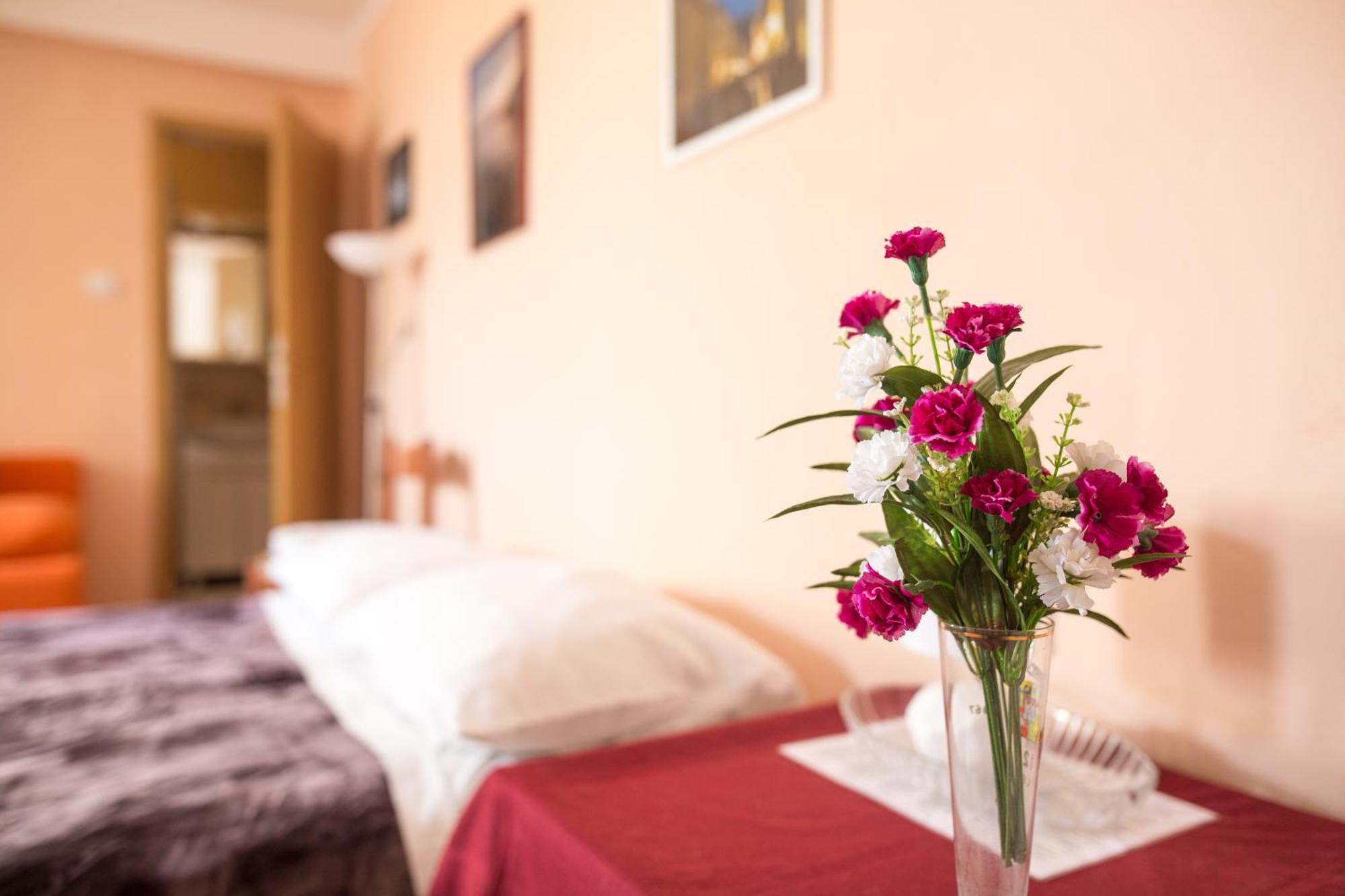 Guest house Biba